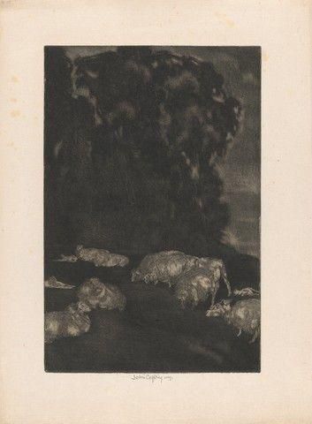 Sheep in Twilight