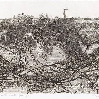 Heath with Junipers