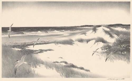 The Far Shore