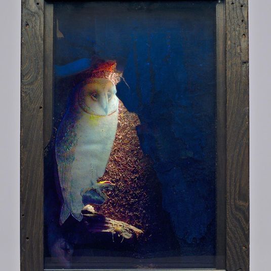 Untitled (Lighted Owl)