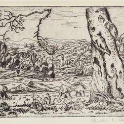 Beech Tree and Valley of the Little Beaver