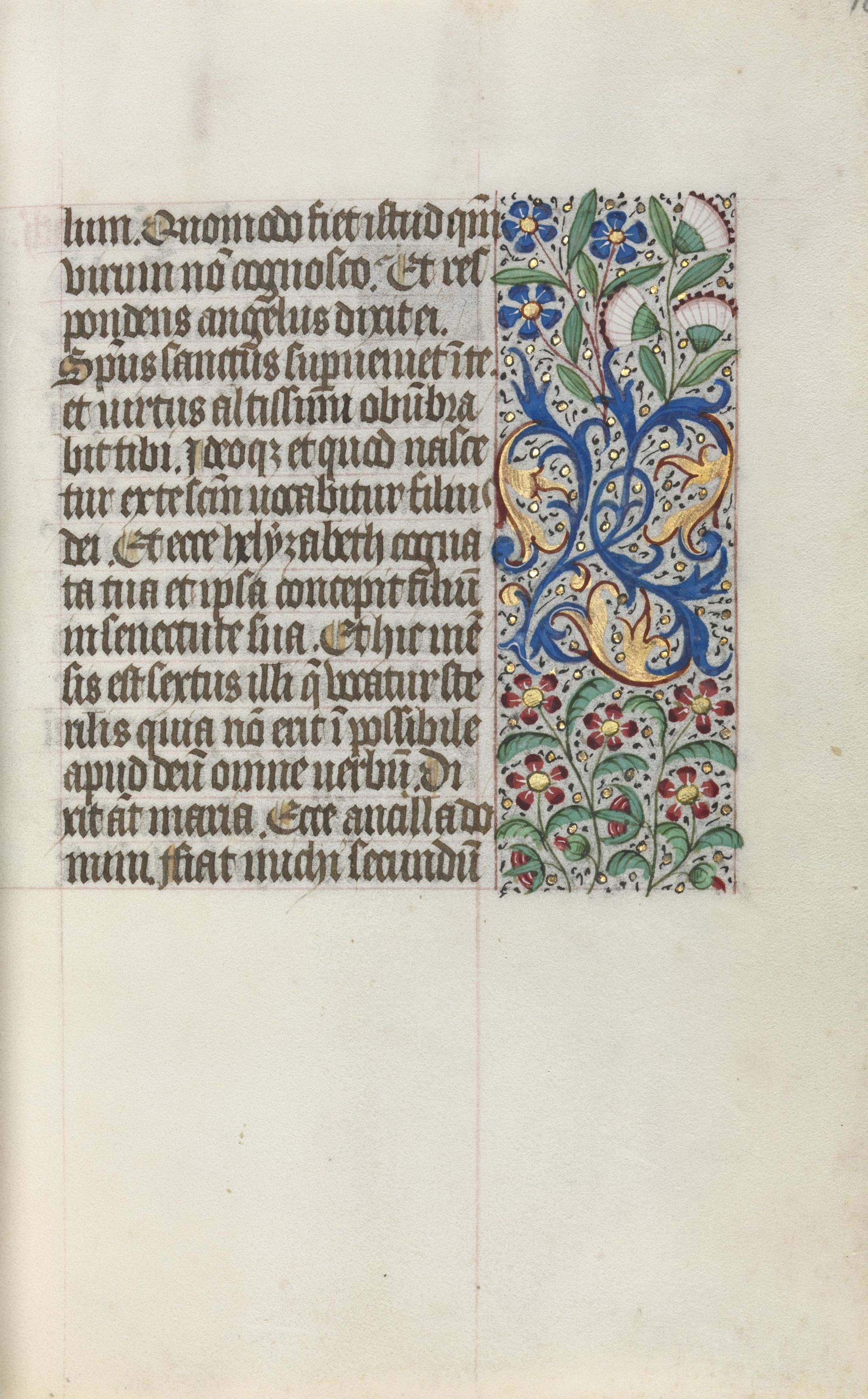 Object Image