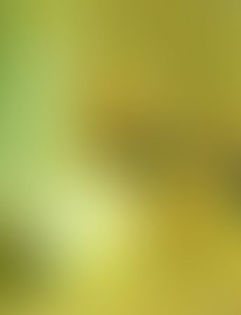 Object Image