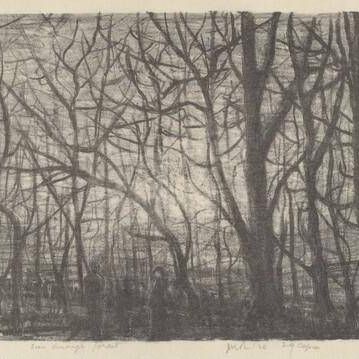 Seen Through Forest