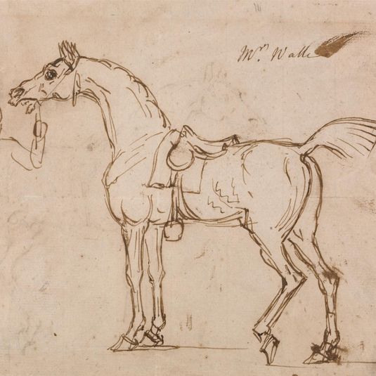 A Racehorse, Bridled and Saddled