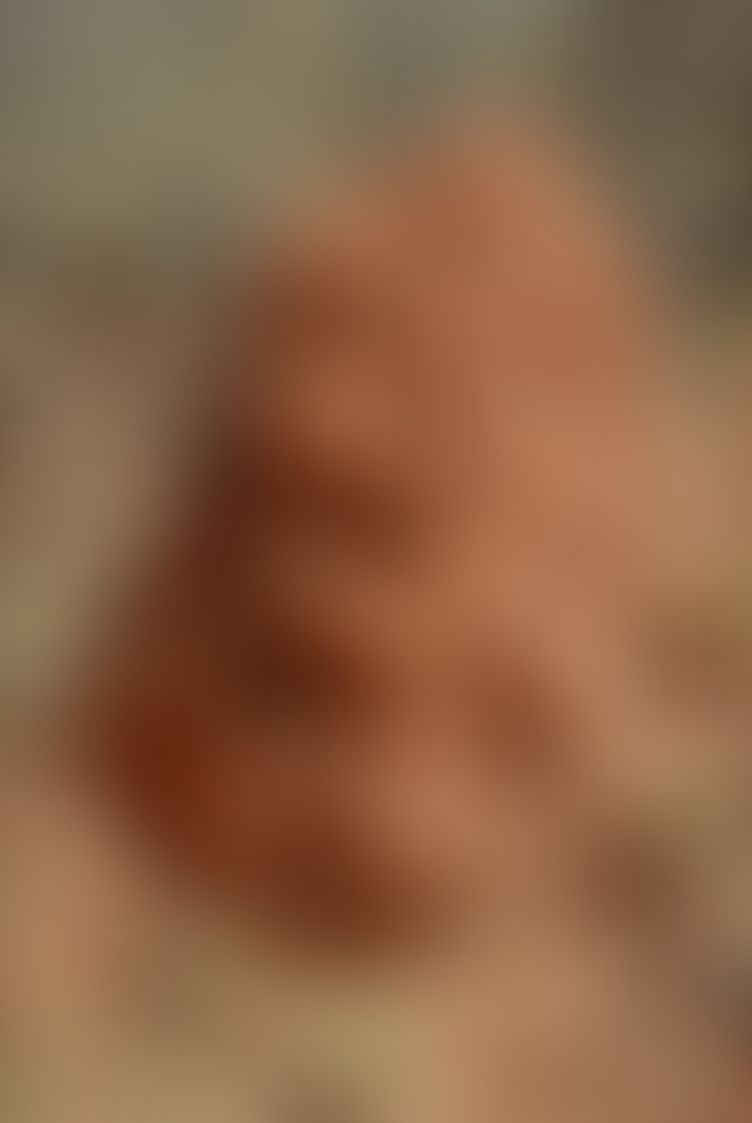 Object Image