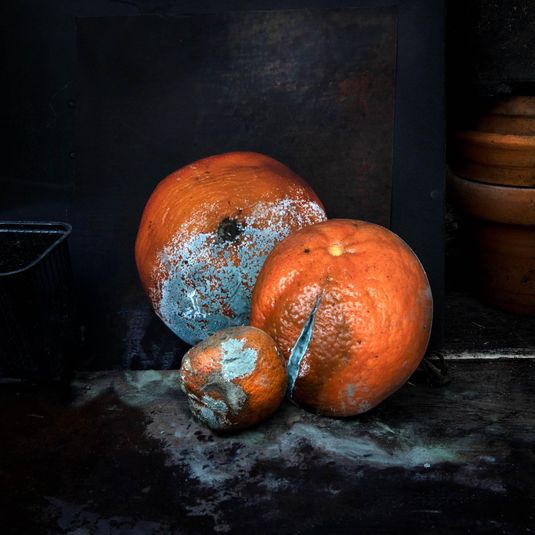 Orange Still Life