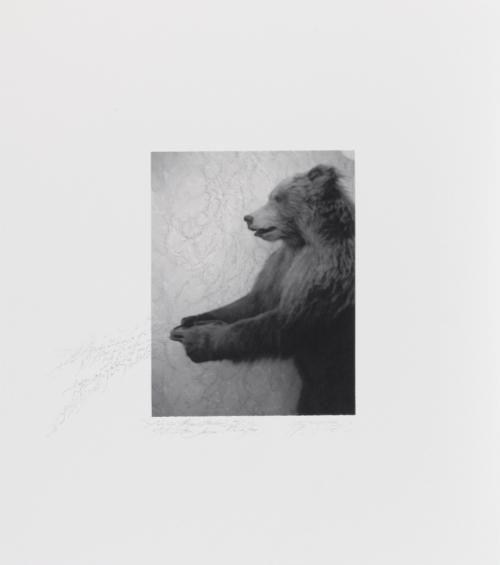 Object Image