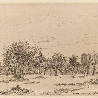Orchard (Le Verger)
