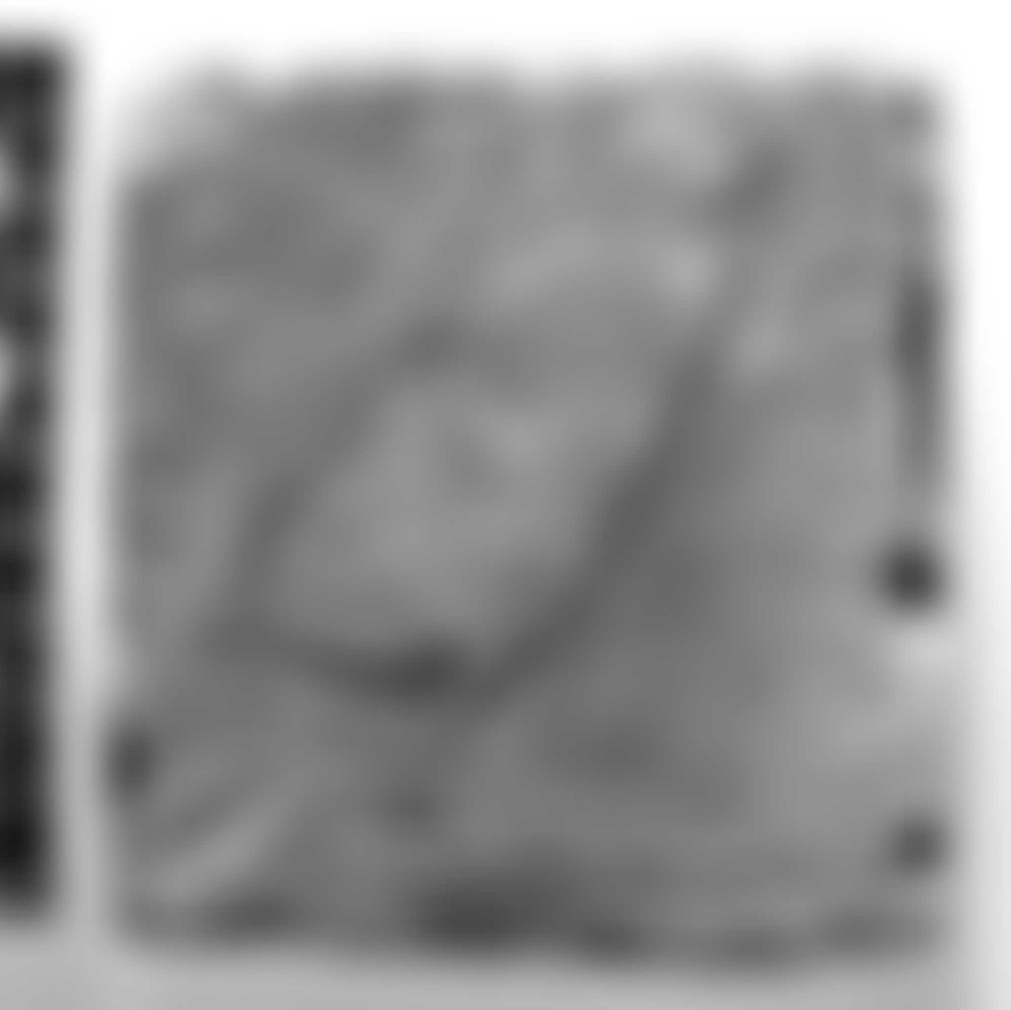 Object Image
