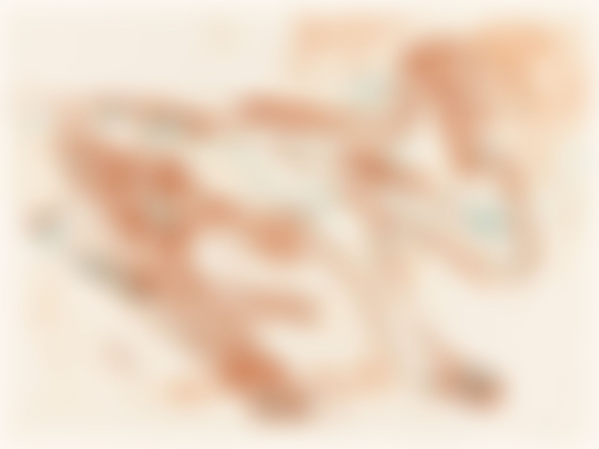 Object Image