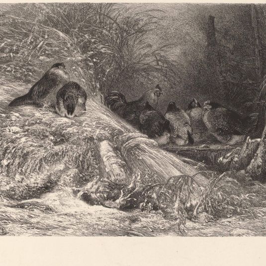 A l'abri du givre