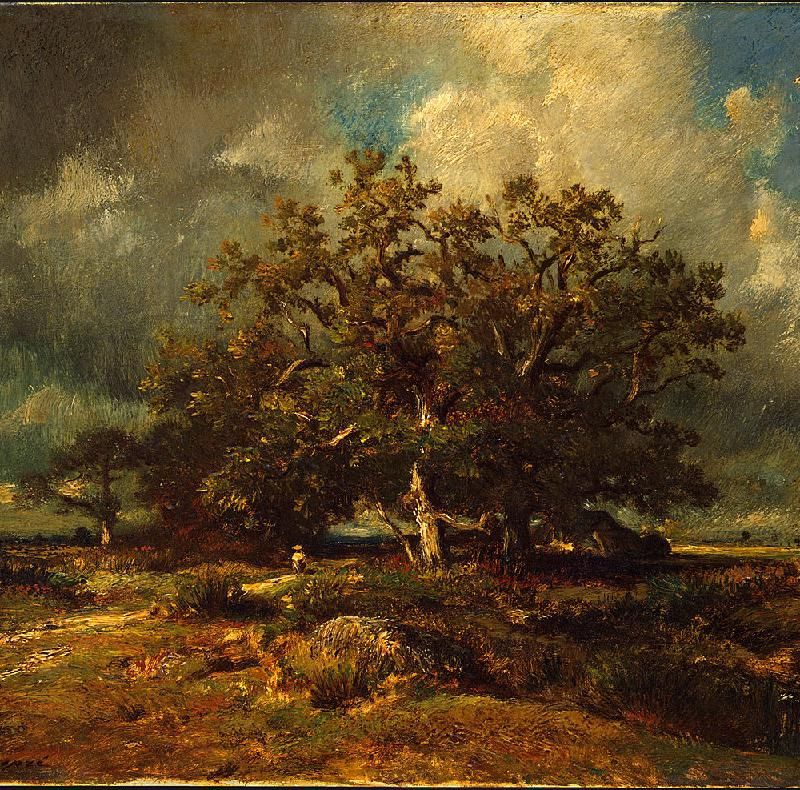 The Old Oak