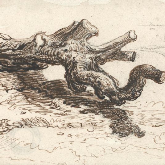 A Tree Trunk on the Ground