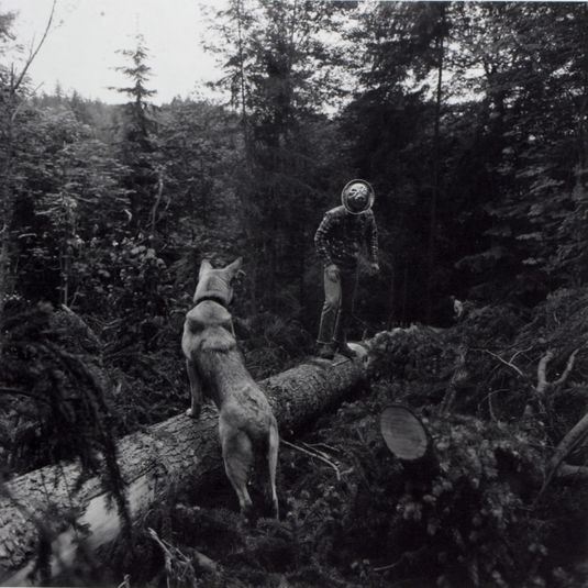 (Untitled), from the Seattle Arts Commission Photo Survey