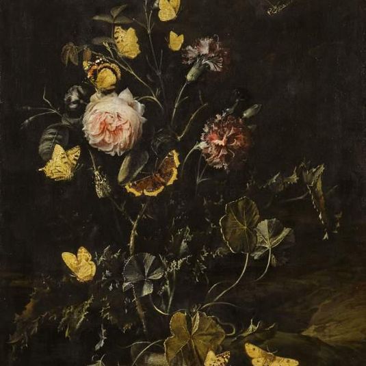 Flowers, insects and reptiles