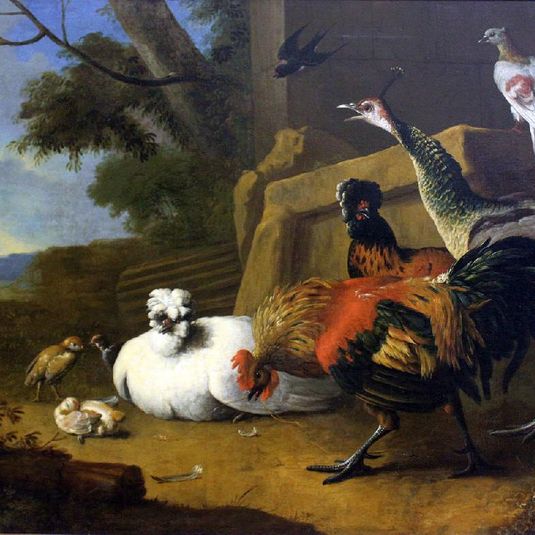 The poultry yard