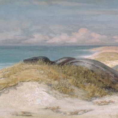 Lair of the Sea Serpent