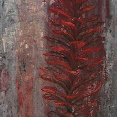 Open Pine Cone