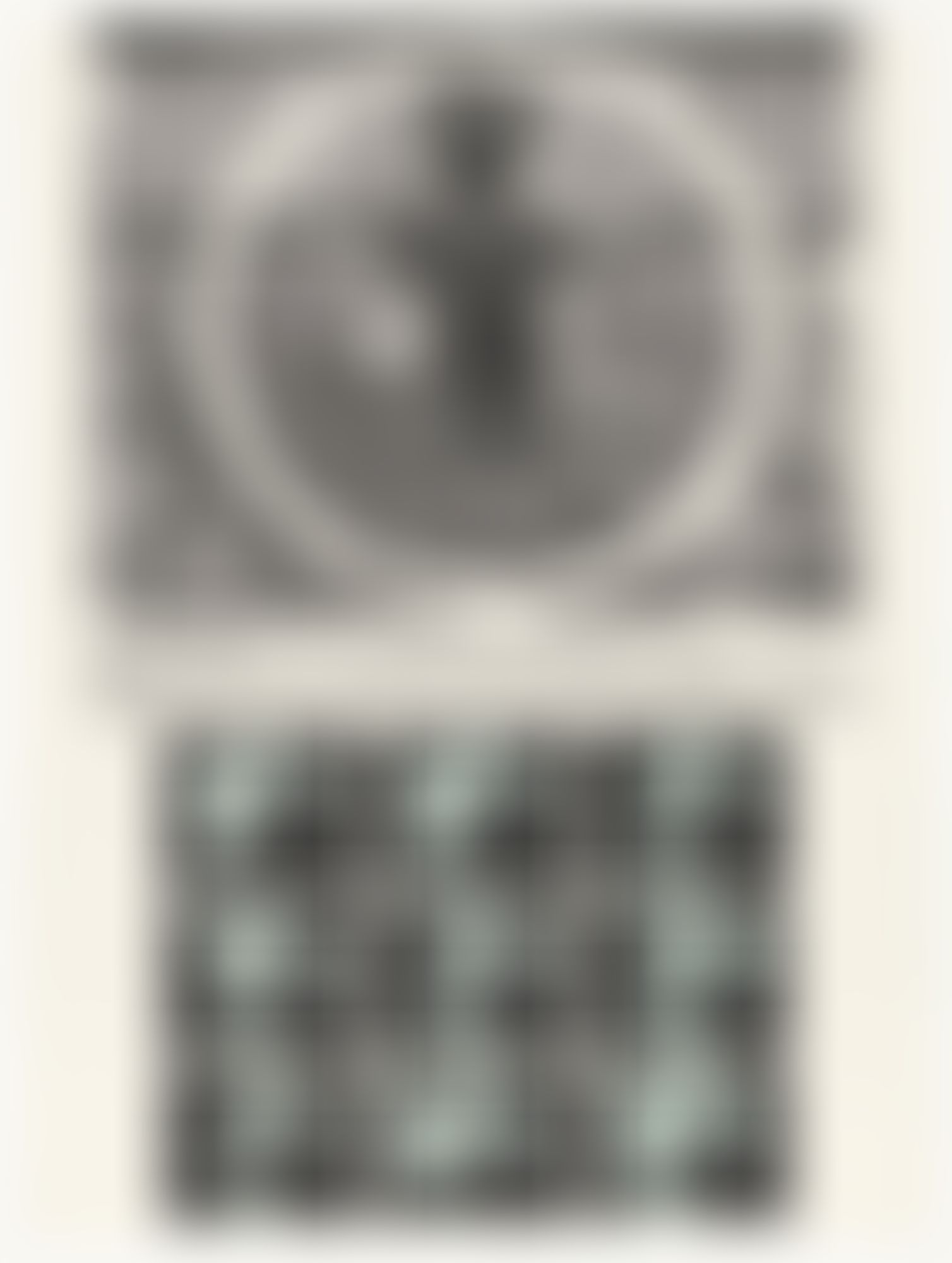 Object Image