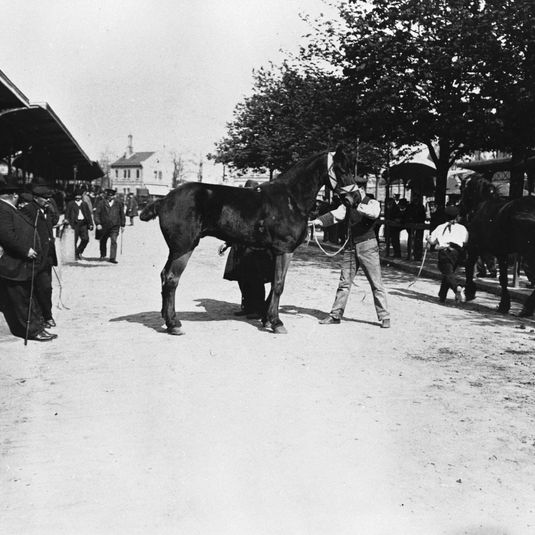 Le Marché aux chevaux, boulevard de l'Hôpital, 13ème arrondissement, Paris.