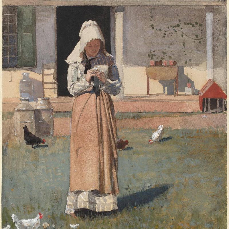 A Sick Chicken