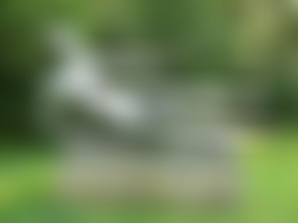 Object Image