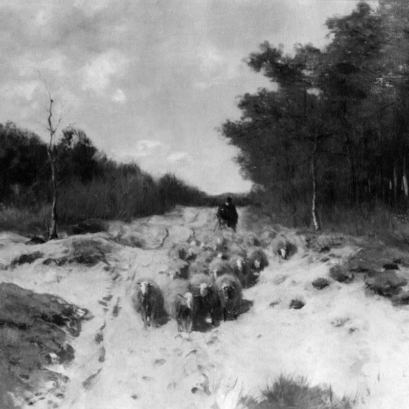 Shepherd and Sheep on a Woodland Road