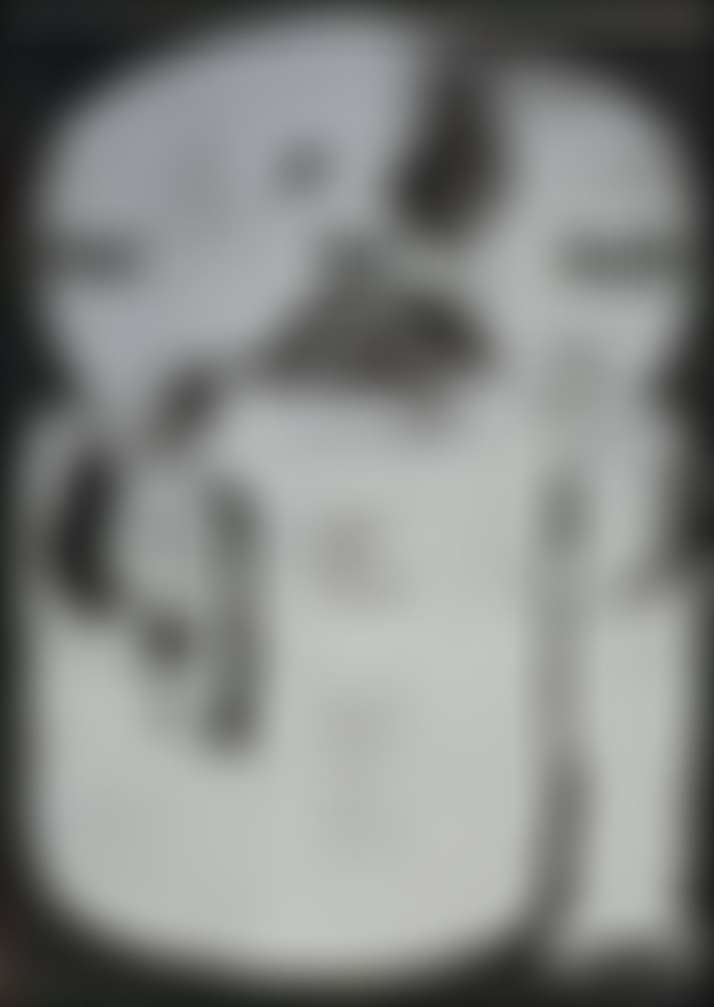 Object Image