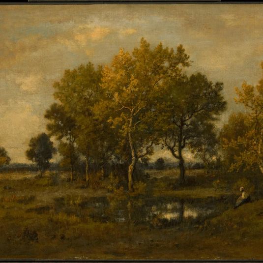 Forest Clearing