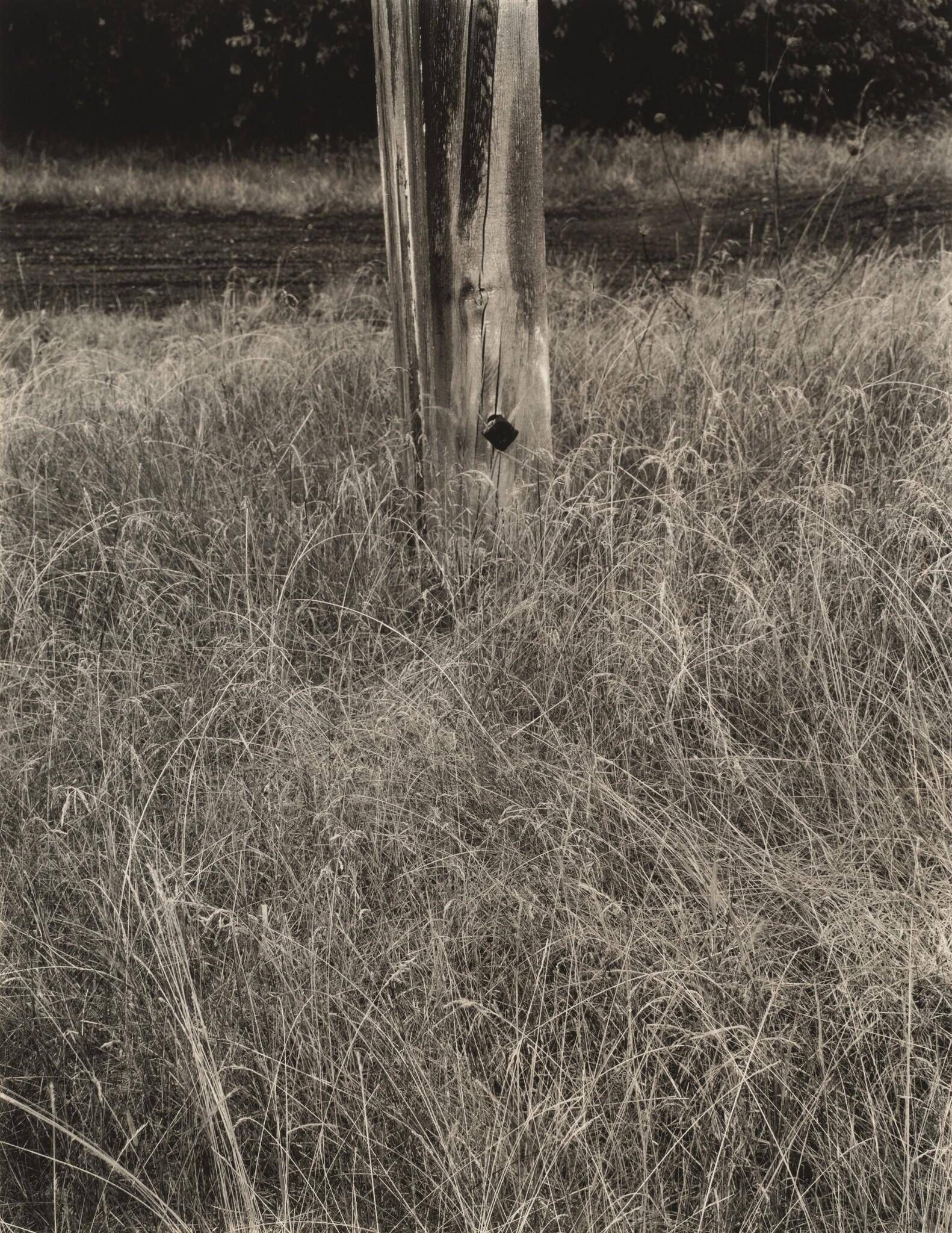 Object Image