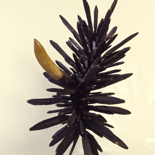 Black and White Tipped Flower