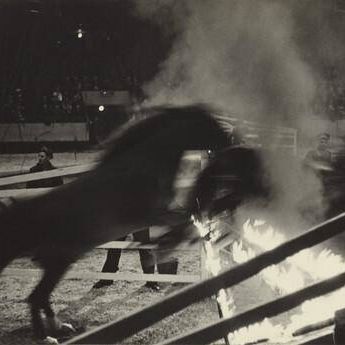 Horse Act, Circus, New York