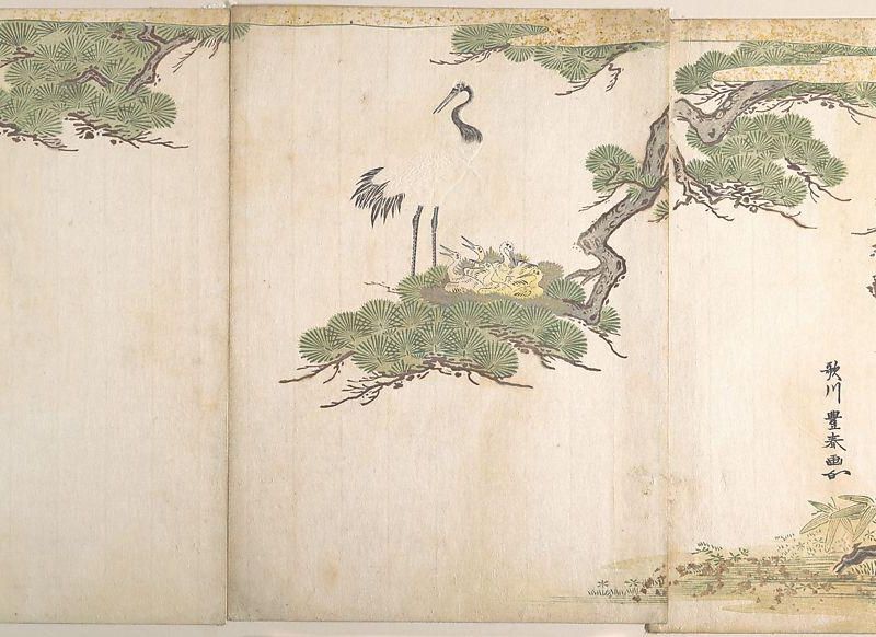 Crane and Their Young in Their Nest in the Branches of a Pine-tree