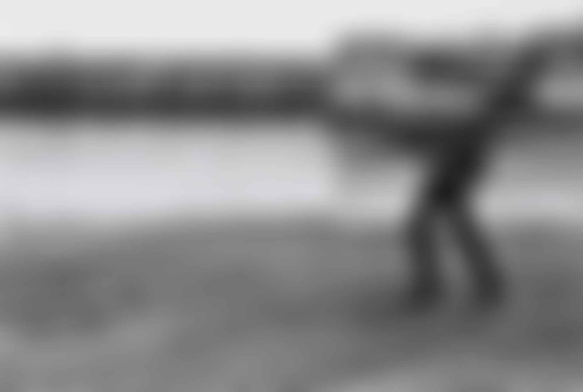 Object Image