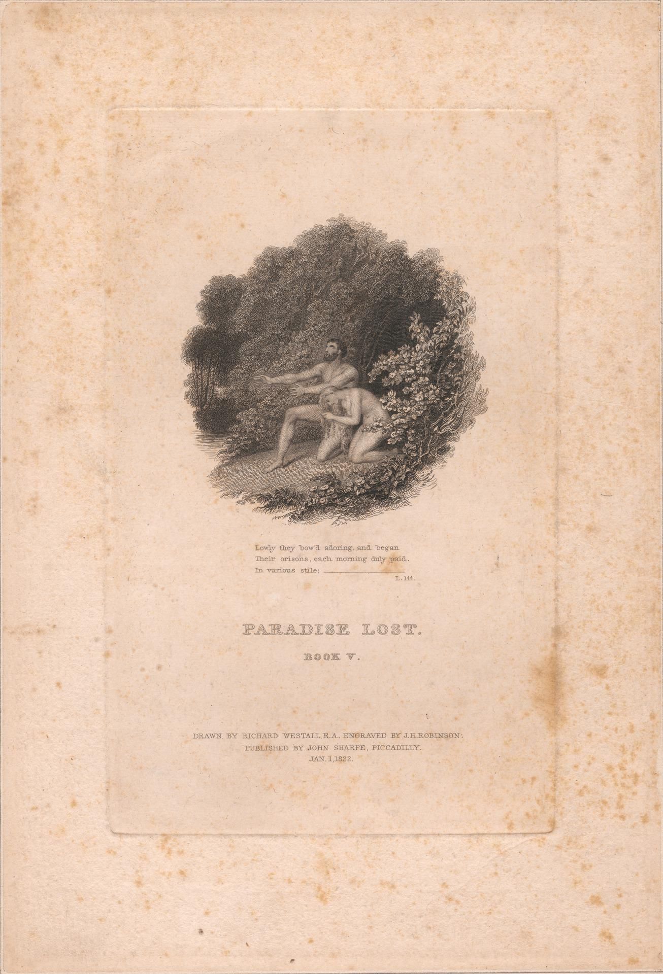 Object Image