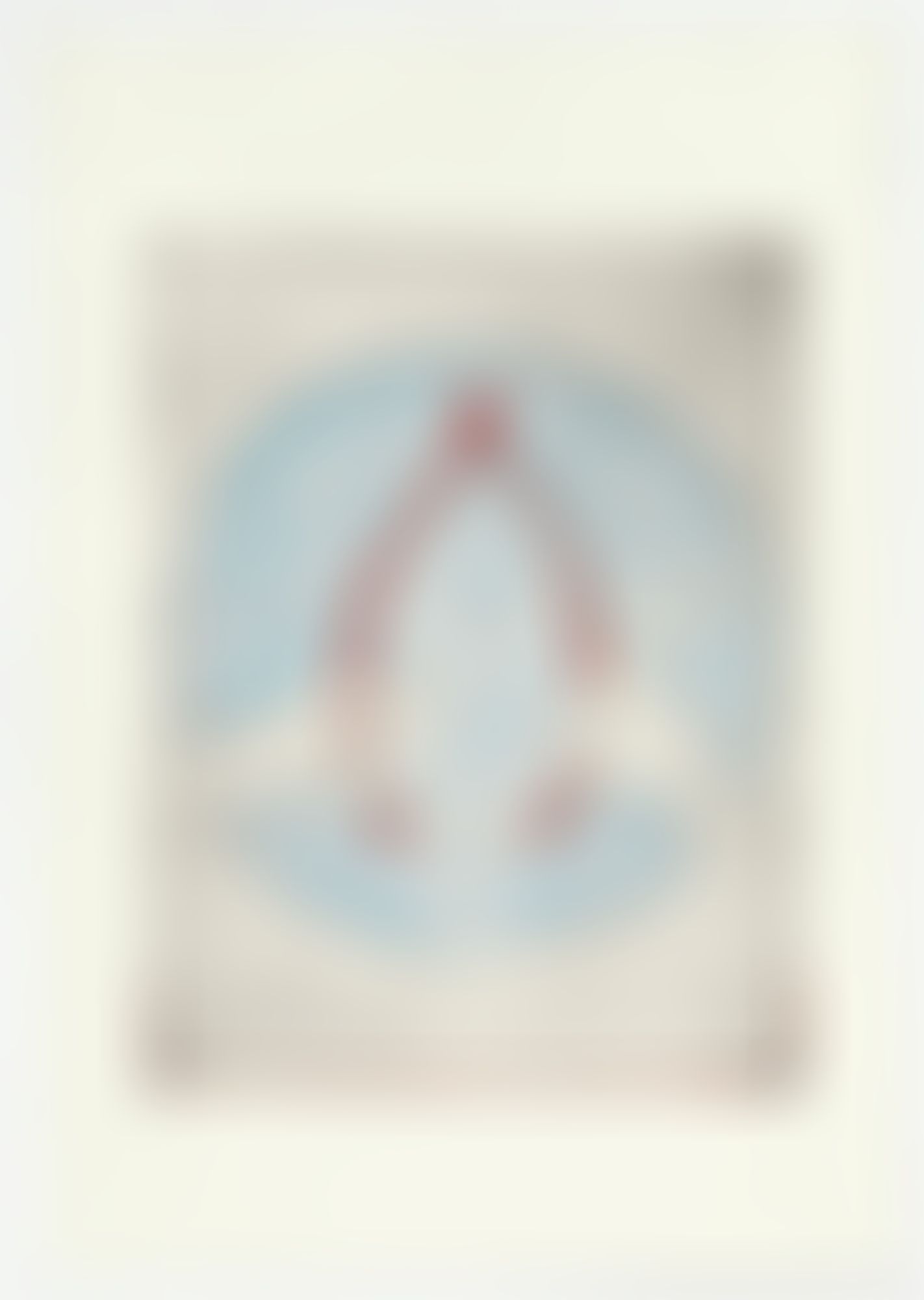 Object Image