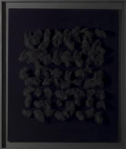 Object Image