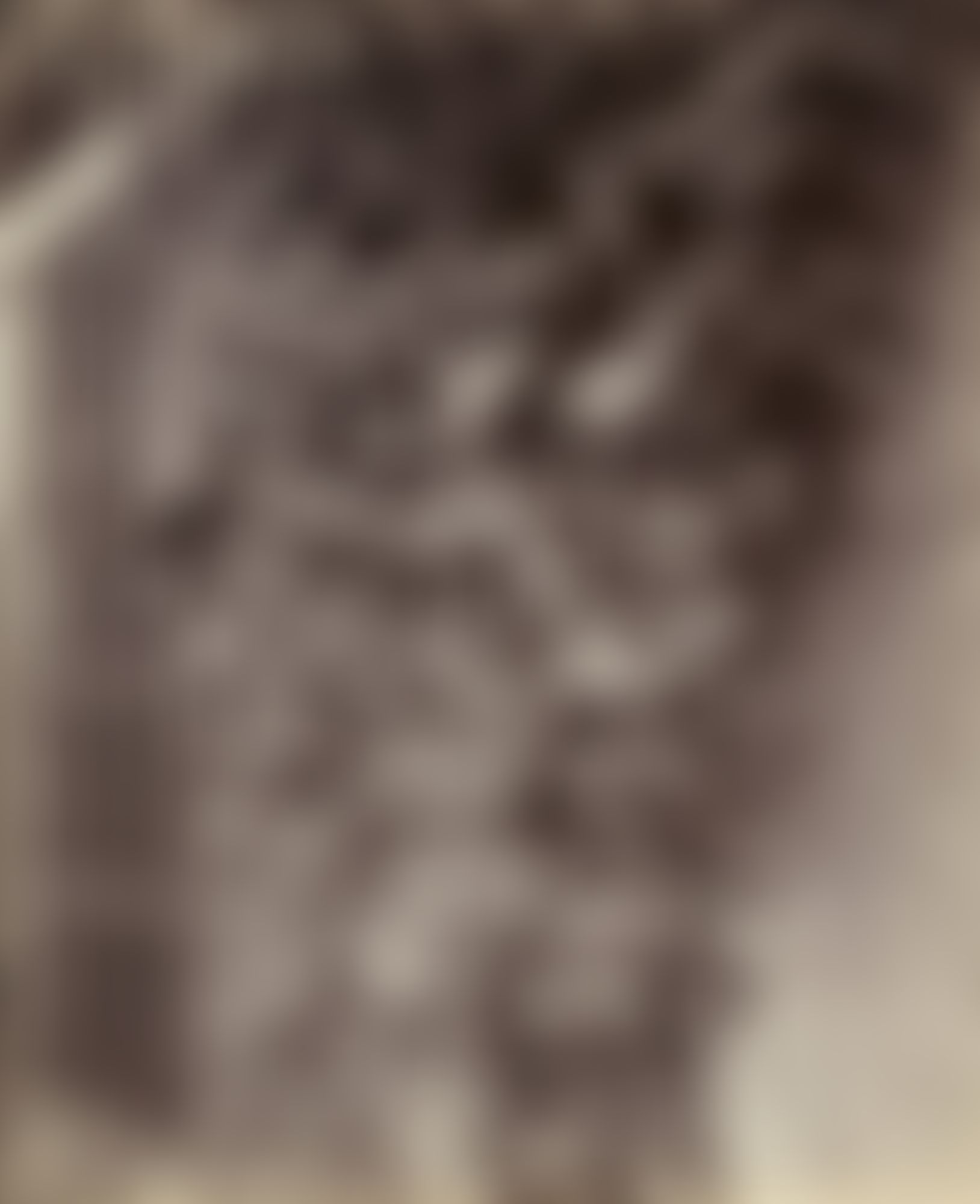 Object Image