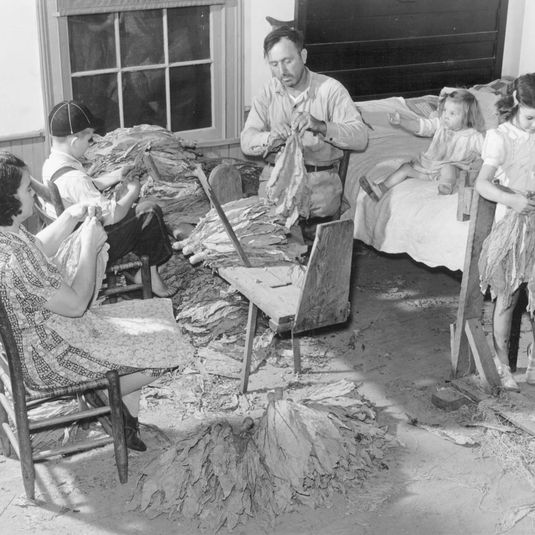 The Titus Oakley family stripping, tying, and grading tobacco in their bedroom. Granville, County, North Carolina